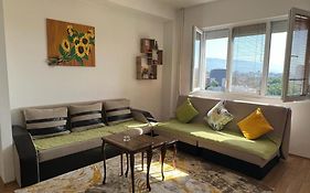 Vik Apartments
